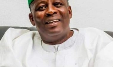 OAU Governing Council Chairman Calls for Removal of University Endowment Funds and Research Grants from TSA