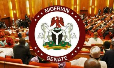 Senate Approves Establishment of Federal University of Health Sciences and Technology Tsafe