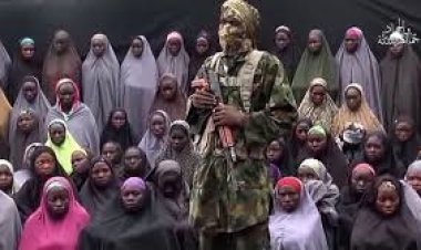 Chibok Schoolgirl Rescued with Two Children After 10 Years in Borno State