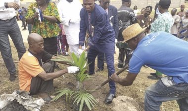 LASUED VC Urges Staff and Students to Plant Trees for Environmental Protection