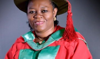 Acting Vice Chancellor Prof. Stella Lemchi Marks Two Years of Leadership at Alvan Ikoku Federal University