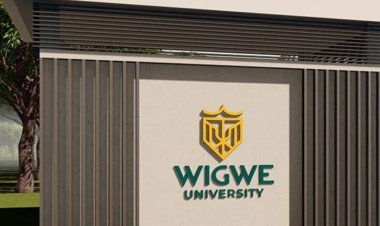 “They Want to turn Wigwe University into an Ordinary Nigerian university” Netizens claims as Governing Council Removes Expatriates From Board