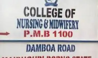 College of Nursing Sciences Maiduguri Postpones Examinations