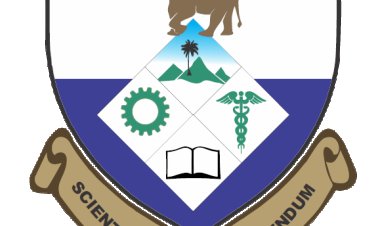 State University of Medical and Applied Sciences Igbo Eno Addresses Concerns Regarding JAMB Portal