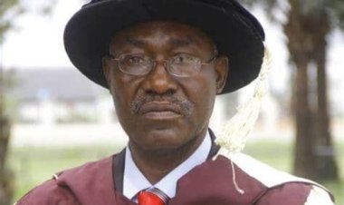 DELSU Vice Chancellor Urges Students to Avoid Violence Amid Hunger Protest