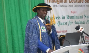 NOUN Professor Ahmed Advocates for Tiger Nut in Animal Feeding