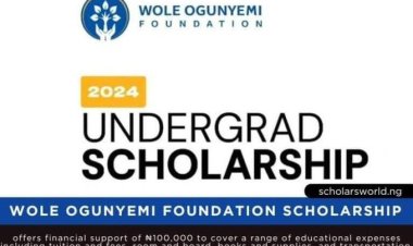 Wole Ogunyemi Foundation Opens Applications for Undergraduate Scholarship Program
