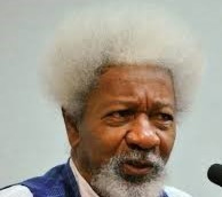 80 Schools Set to Celebrate Wole Soyinka's 90th Birthday with Special Exhibition