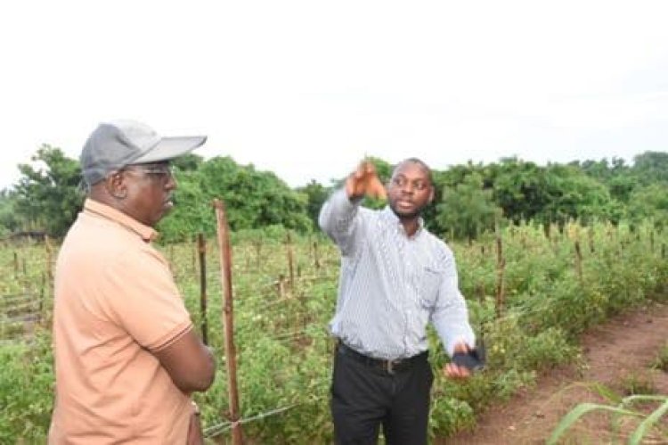 FUNAAB VC Showcases Agricultural Innovations to Tackle Food Security Challenges