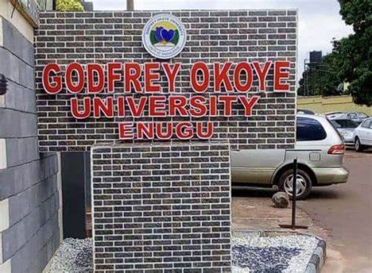 Three Godfrey Okoye University Students Emerges as Winners in Competition