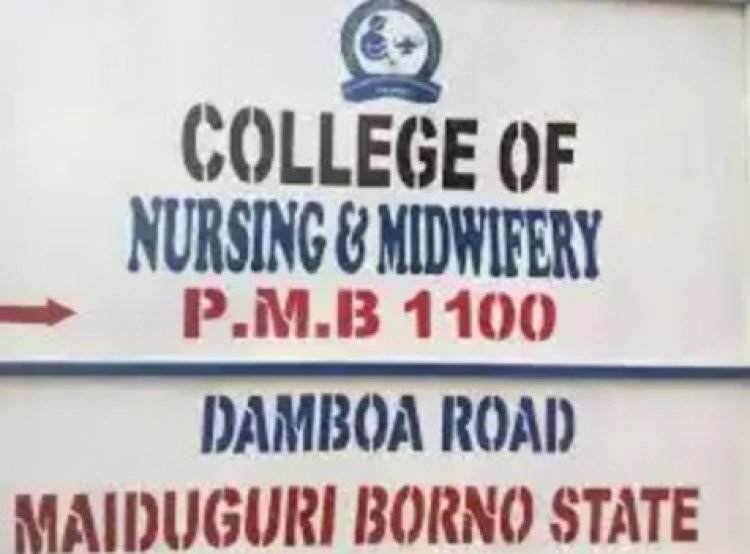 College of Nursing Sciences, Maiduguri Releases 2024/2024 Admission List