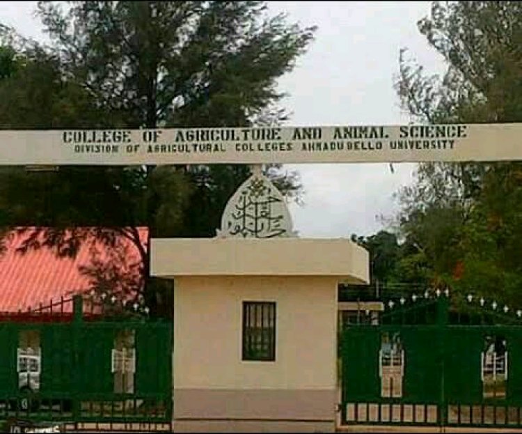 Ahmadu Bello University Finalizes Calendar for 2nd and 4th Semesters of 2023/2024 Academic Session