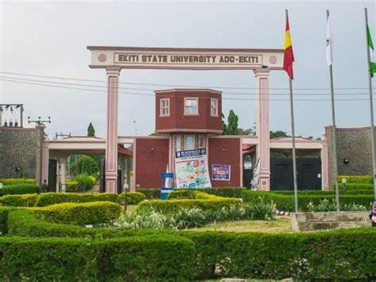 Protesting Workers Shut Down Ekiti State University