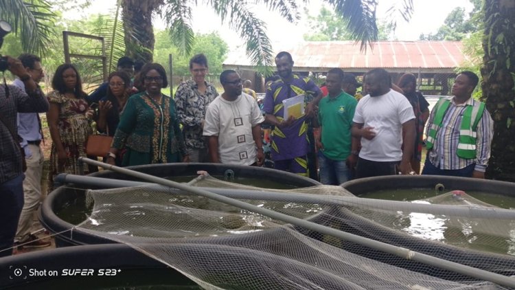 French Ministry Delegates Visit Anambra State Polytechnic for WATEA Project Inspection