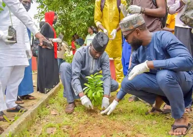 Kaduna State University Promotes Sustainability Through Tree Planting Campaign