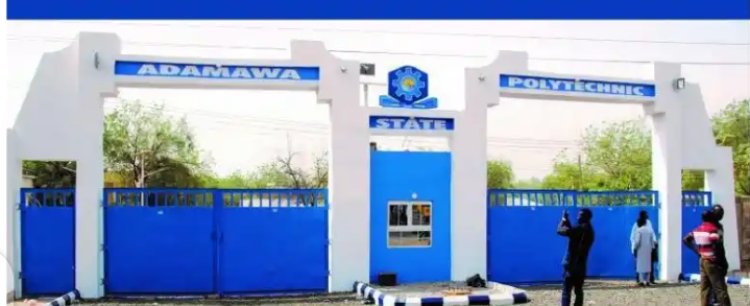 Adamawa State Polytechnic Students Now Eligible for FG Loan