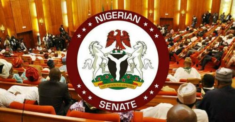 Senate Approves Establishment of Federal University of Health Sciences and Technology Tsafe