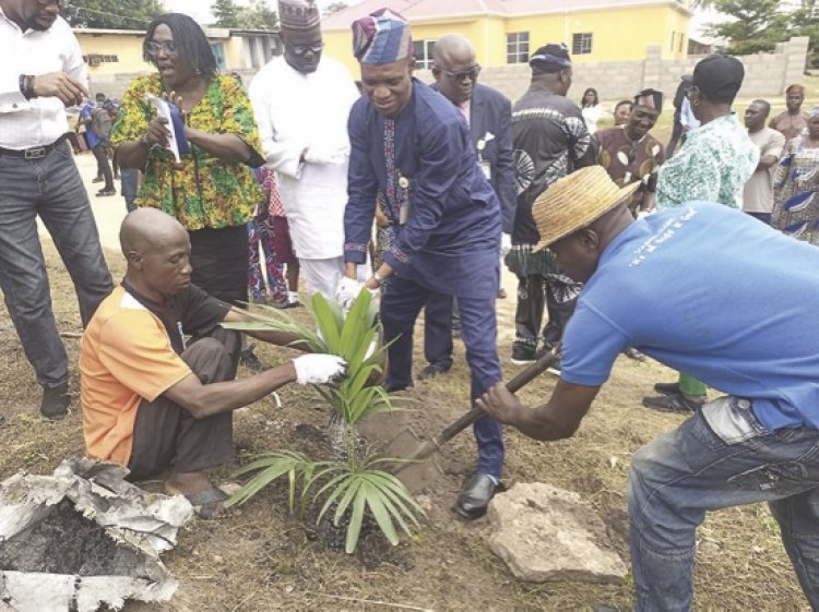 LASUED VC Urges Staff and Students to Plant Trees for Environmental Protection