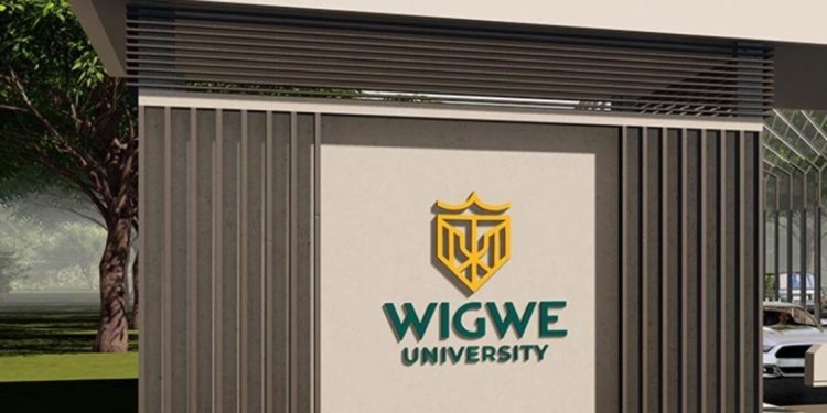 “They Want to turn Wigwe University into an Ordinary Nigerian university” Netizens claims as Governing Council Removes Expatriates From Board