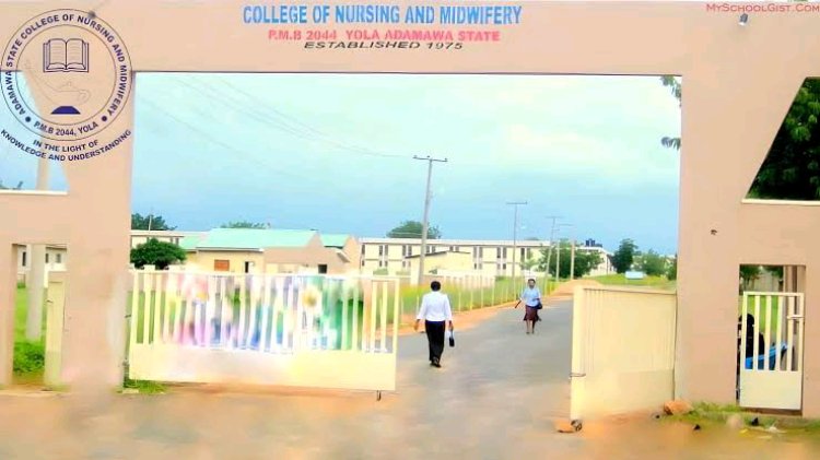 Adamawa State College of Nursing and Midwifery Announces Admission for Community and Basic Nursing Programs