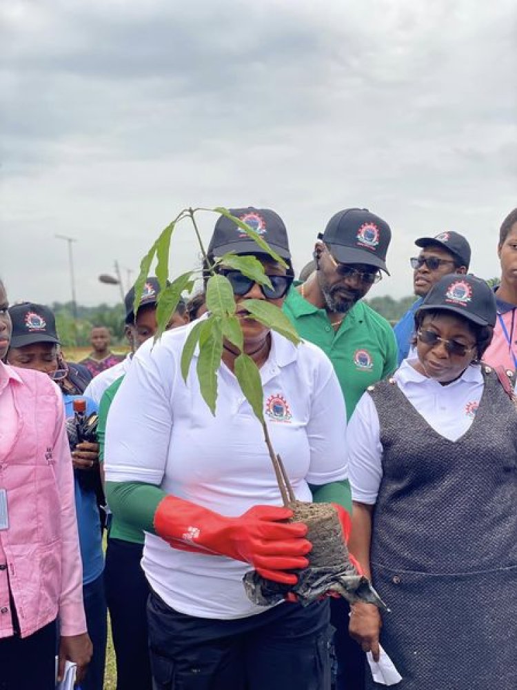 AKSU Launches Tree Planting Initiative at Obio Akpa Campus