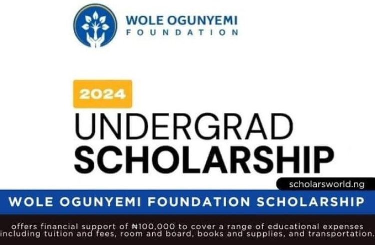 Wole Ogunyemi Foundation Opens Applications for Undergraduate Scholarship Program