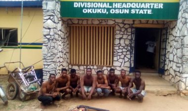 Eight Cultists Arrested at Osun State University with Weapons Cache