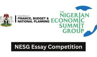Federal Ministry of Finance and NESG Announce 2024 Essay Competition for Undergraduates
