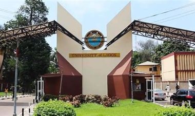 UNILAG Green Hub Launches 2024 Children Summer Sustainability Hangout