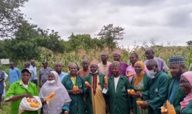 Kwara Polytechnic Cultivates 20 Hectares of Maize and Cassava to Enhance Food Security