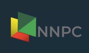 Eligible Programmes for NNPC Graduate Trainee Program 2024