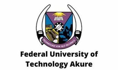 FUTA Lecturer Aims to Build First Commercial-Scale, Privately-Owned Biogas Company in Nigeria