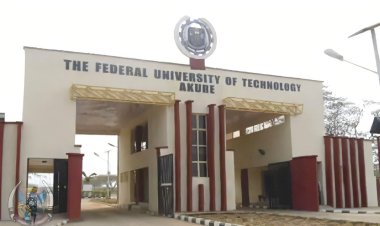 Facts About Federal University of Technology Akure (FUTA): Nigeria’s Hub of Technological Excellence