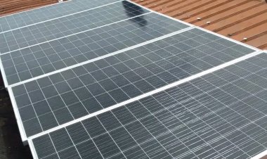 Federal Polytechnic Damaturu Installs Solar-Powered Borehole, Enhances Water Supply