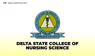 Delta State College of Nursing Sciences Admission Form for 2024/2025 Session