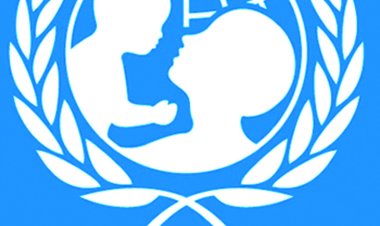 UNICEF Raises Alarm Over Dropout Rates Among Adolescents in Southwest Nigeria
