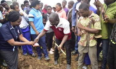 Sustainable Farming Practices Can Eradicate Food Scarcity - FUTA VC