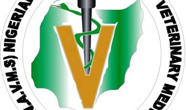 University of Ibadan, University of Ilorin, and Usman Danfodio University Advance to Physical Stage of NAVMS Debate Competition