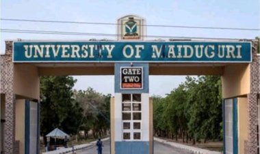 University of Maiduguri Announces 2024/2025 Pre-Admission Screening Exercise
