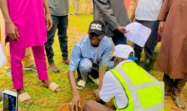 Federal Polytechnic Bauchi Students Embark on Tree Planting Exercise