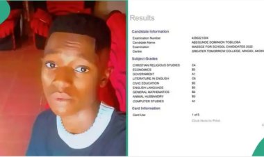 “Can I Study Law with These Scores?” Nigerian Student Seeks Admission Advice Online