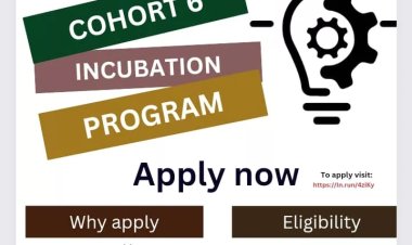 UNN Lion Science Park/Roar Nigeria Hub Opens Applications for Incubation Program