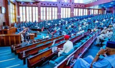 House Demands Rescue of 20 Abducted Medical Students in Benue
