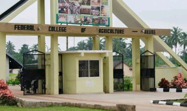 FECA Akure Releases 2024/2025 Admission Forms for Various Programs