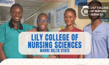 Lilly College of Nursing Sciences Announces 2024/2025 Entrance Examination Date