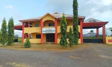 Full List of NCE Courses Offered at Delta State College of Education Mosogar (DESCOEM)