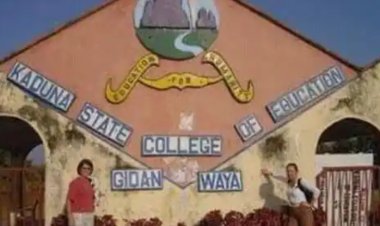 Kaduna State College of Education Announces Examination Clearance and Card Collection for 100L and 200L Students