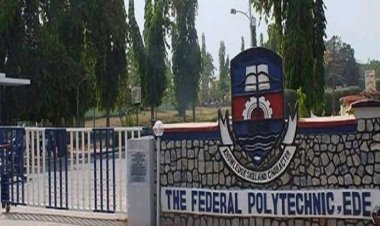 Ede Polytechnic Forms Committee to Reassess Expulsion and Suspension of 35 Students