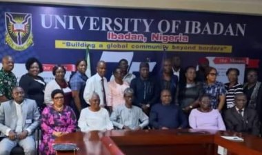 University of Ibadan Deputy VC Urges Professional Regulatory Bodies to Support Nigerian Universities
