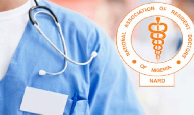 UPTH Resident Doctors Join Nationwide Strike, Demand Release of Kidnapped Colleague